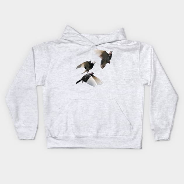 Rock Doves in Flight Kids Hoodie by stargatedalek